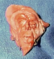 Handcarved Coral Sculpture Pendant, Front View