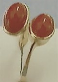 Red Coral Ring, Top View